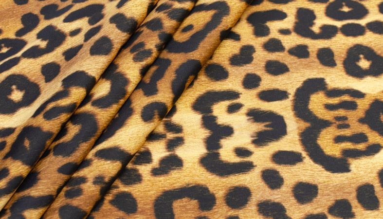 Spotty Symbolism: Why Leopard Print Is Popular