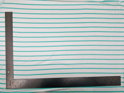 DTY Double Sided Brushed Knit Horizontal Stripes Print Fabric